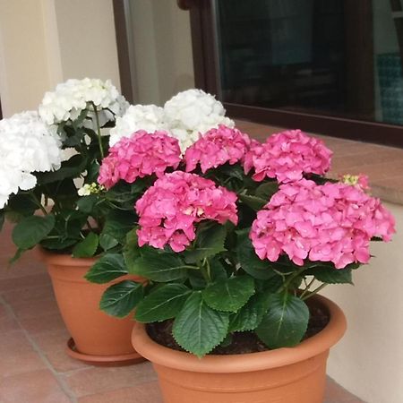 Il Fienile Holiday Home Le Fornacette Εξωτερικό φωτογραφία