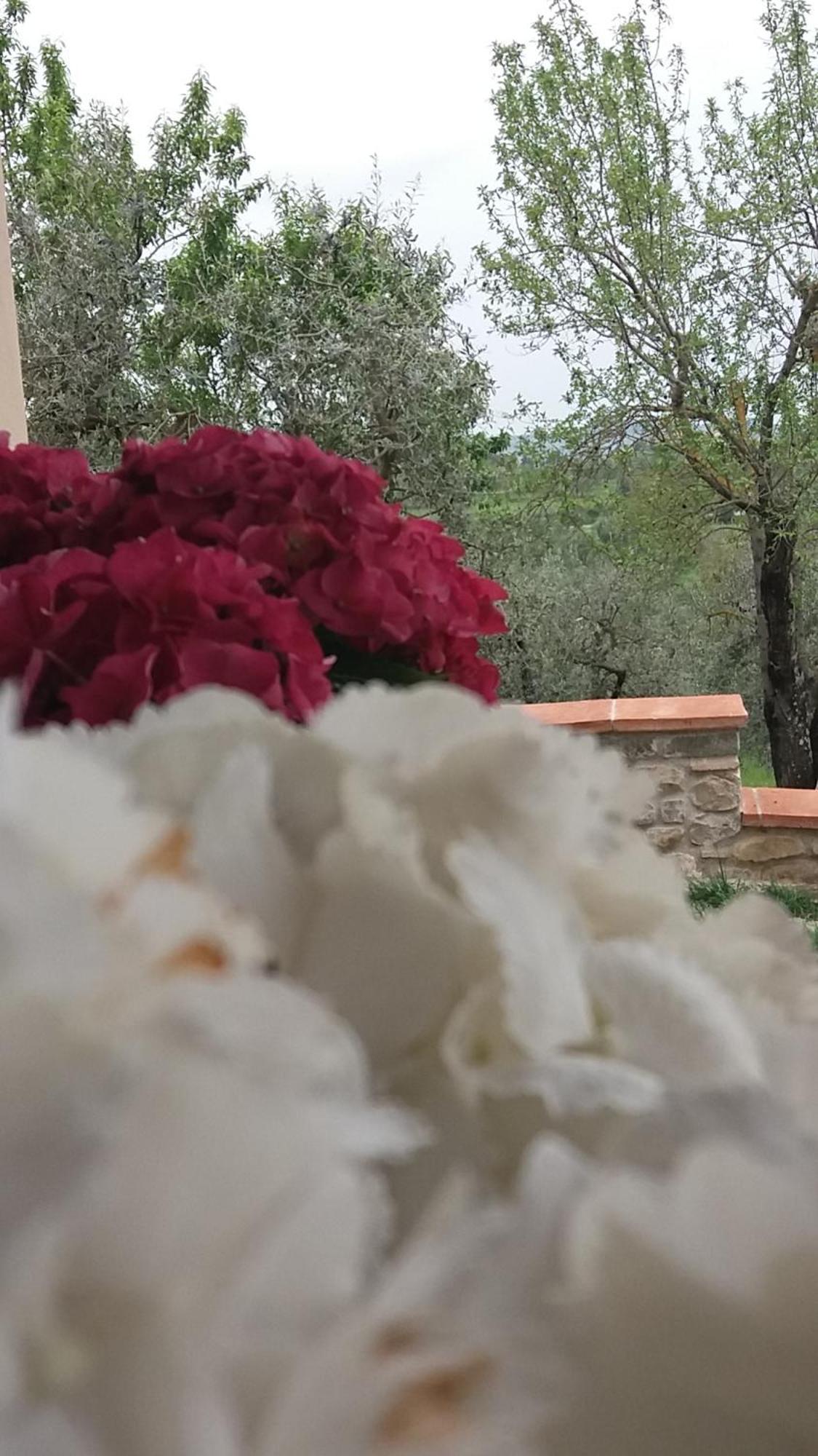 Il Fienile Holiday Home Le Fornacette Εξωτερικό φωτογραφία